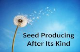 Seed Producing After Its Kind. Genesis 1 Seed Producing After Its Kind Genesis 1 – Plants (9-11)