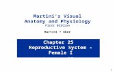 1 Chapter 25 Reproductive System – Female I Lecture 22 Martini’s Visual Anatomy and Physiology First Edition Martini  Ober.
