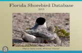 Florida Shorebird Database 2015 Map & table credit: Whitney Haskell.