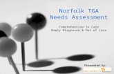 Norfolk TGA Needs Assessment Comprehensive In Care Newly Diagnosed & Out of Care Presented by: