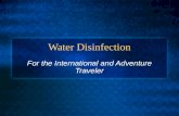 Water Disinfection For the International and Adventure Traveler.