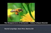 The Disappearance of Honeybees – Colony Collapse Disorder Rachel Langridge, Sean Pitre, Reema Gill.