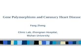 Gene Polymorphisms and Coronary Heart Disease Fang Zheng Clinic Lab, Zhongnan Hospital, Wuhan University.