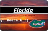7 th Grade States Project Florida  mons/9/90/Sunset_Marina.JPG.