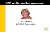 SEC on School Improvement Lani Seikaly CCSSO Consultant.