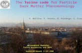 The Torino code for Particle Dark Matter Phenomenology A. Bottino, F. Donato, N. Fornengo, S. Scopel Fiorenza Donato Torino University and INFN Tools08.