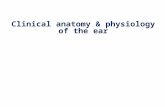 Clinical anatomy & physiology of the ear. Anatomy of ear.