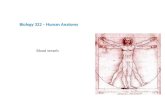 Biology 322 – Human Anatomy Blood vessels. Blood Vessels Arteries carry blood FROM the heart Decrease in size with distance from heart Very small arteries.