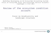 1 Review of the ecosystem condition account Focus on biodiversity and landscape structure Markus Erhard markus.erhard@eea.europa.eu Workshop Developing.