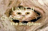 UNIT II Chapter 3 The Biosphere. I. The Biosphere A. What is Ecology? Ecology 1. Ecology (from Greek oikos, meaning “house”) 2. Aspects of Ecological.