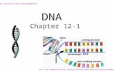 DNA Chapter 12-1 johnc/mbi1440.htm .
