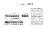 Kumar 2001. Total protein. Equal amounts of protein from non-ischemic brain homogenates were electrophoresed and proteins were detected by staining the.