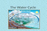 The Water Cycle. Steps in the Water Cycle Evaporation the process of changing water from a liquid to a gas occurs when water on Earth is heated by the.
