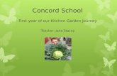 Concord School First year of our Kitchen Garden Journey Teacher: Jane Stacey.