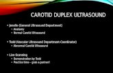 CAROTID DUPLEX ULTRASOUND Jenelle (General Ultrasound Department) Anatomy Normal Carotid Ultrasound Todd (Vascular Ultrasound Department-Coordinator) Abnormal