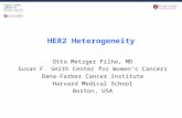 HER2 Heterogeneity Otto Metzger Filho, MD Susan F. Smith Center for Women’s Cancers Dana-Farber Cancer Institute Harvard Medical School Boston, USA.