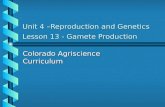 Unit 4 –Reproduction and Genetics Lesson 13 - Gamete Production Colorado Agriscience Curriculum.