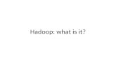 Hadoop: what is it?. Hadoop manages: – processor time – memory – disk space – network bandwidth Does not have a security model Can handle HW failure.