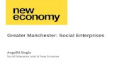 Greater Manchester: Social Enterprises Social Enterprise Lead at New Economy Angeliki Stogia.