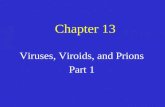 Chapter 13 Viruses, Viroids, and Prions Part 1. General Characteristics of Viruses Very small in size –Need an electron microscope to visualize and determine.
