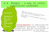 4.4 Biogas – a way to solve sanitation problems How much biogas can be produced from excreta and biomass? How safe is the process and its sludge?? Learning.