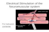 Electrical Stimulation of the Neuromuscular system Pre-halloween 10/30/06.
