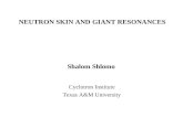 NEUTRON SKIN AND GIANT RESONANCES Shalom Shlomo Cyclotron Institute Texas A&M University.