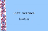 Life Science Genetics Gregor Mendel The basic laws of heredity were first formed during the mid- 1800’s by an Austrian botanist monk named Gregor Mendel.