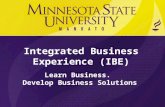 Integrated Business Experience (IBE) Learn Business. Develop Business Solutions.