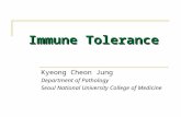 Immune Tolerance Kyeong Cheon Jung Department of Pathology Seoul National University College of Medicine.