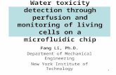 Water toxicity detection through perfusion and monitoring of living cells on a microfluidic chip Fang Li, Ph.D. Department of Mechanical Engineering New.