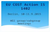 EU COST Action IS 1402 Berlin, 10-11.9.2015 WG1 group/subgroup meetings.