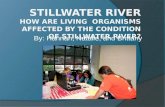 By: Hannah, Natalie, and Brittany. Location  Western Ohio The Stillwater Watershed drains 673 square miles in Western Ohio (including 32 square miles.