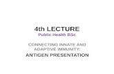 4th LECTURE Public Health BSc CONNECTING INNATE AND ADAPTIVE IMMUNITY: ANTIGEN PRESENTATION.