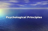 Psychological Principles. UIDE Chapter 5 Four Psychological Principles Four Psychological Principles –Users See What They Expect to See –Users Have Difficulty.