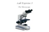 Lab Exercise 3 The Microscope. How to properly carry the microscope.