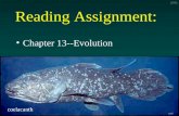 Reading Assignment: Chapter 13--Evolution coelacanth end 2006.