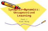 Synaptic Dynamics: Unsupervised Learning Part Ⅰ Xiao Bing.