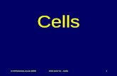 ©   2005KS3 Unit 7a - Cells1 Cells