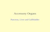 Accessory Organs Pancreas, Liver and Gallbladder.