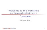 1 Welcome to the workshop on forward calorimetry Richard Seto Overview FOrward CALorimeter.