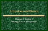 Ecosystems and Biomes Chapter 2: Section 1 “Energy Flow in Ecosystems”