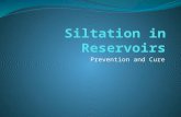Prevention and Cure. Contents Introduction to Reservoirs Preventing Siltation Cure Cost Benefit Analysis Conclusion.