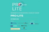 PARTNERSCO-FUNDED BY PRO-LITE OCTOBER 2015 PROCUREMENT OF LIGHTING INNOVATION & TECHNOLOGY IN EUROPE.
