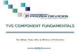 TVS COMPONENT FUNDAMENTALS The What, How, Why & Where of Protection.
