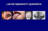 Larval tapeworm questions. The photograph below represents a woman from Kenya infected with a parasite. Based on her condition in the photograph, what.