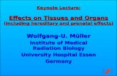 Keynote Lecture: Effects on Tissues and Organs (including hereditary and prenatal effects) Wolfgang-U. Müller Institute of Medical Radiation Biology University.