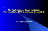 The Application of Single Nucleotide Polymorphisms (SNPs) and Lung Cancer Risk Zuo-Feng Zhang, MD, PhD.