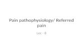 Pain pathophysiology/ Referred pain Lec - 8. Referred pain.