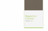 Magnetic Fields Chapter 21. History of Magnetism  In 1269, Pierre de Maricourt of France found that the directions of a needle near a spherical natural.
